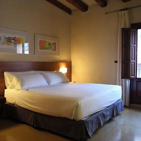 Sercotel Palacio De Tudemir